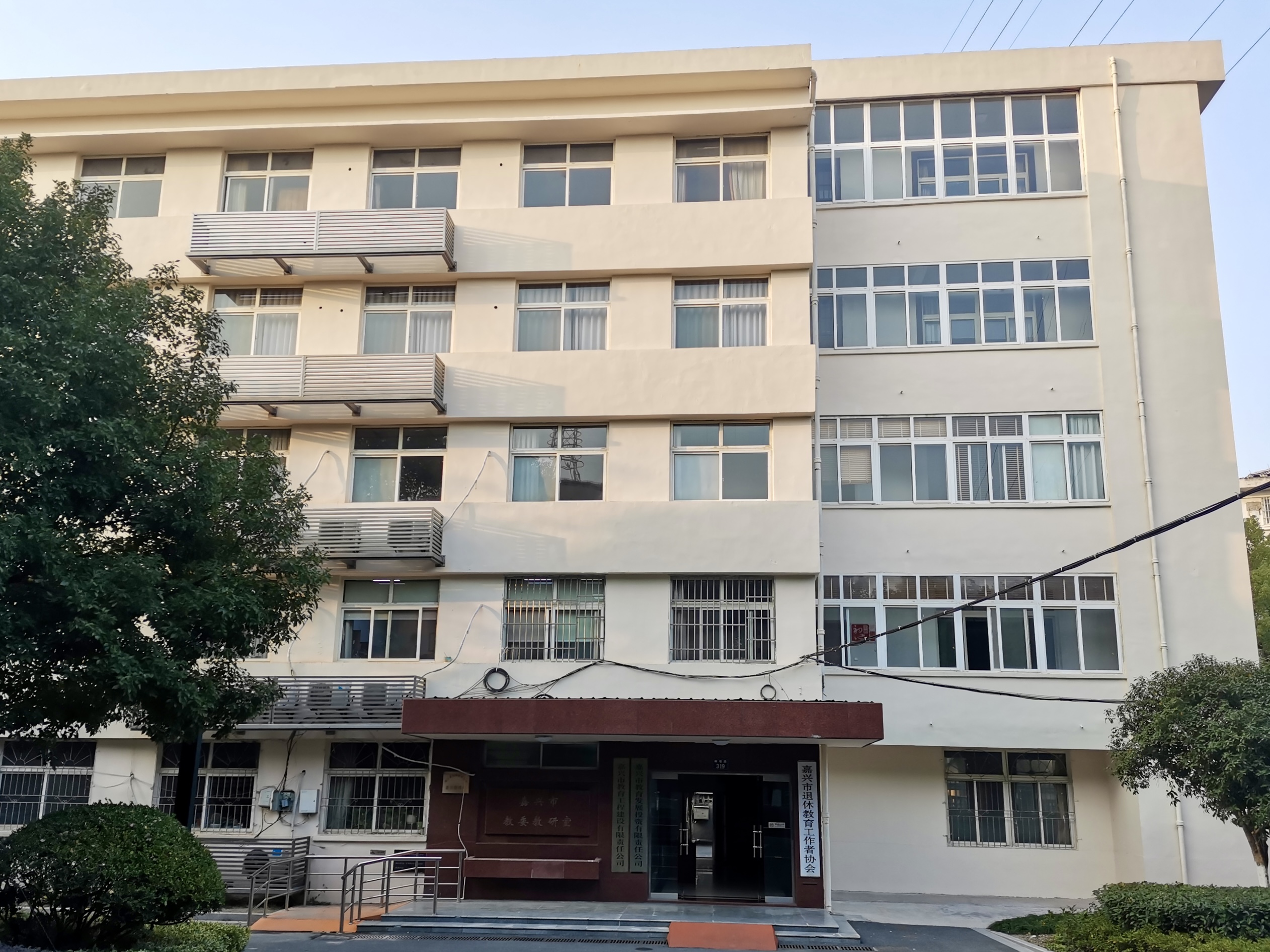标志照教发公司.jpg